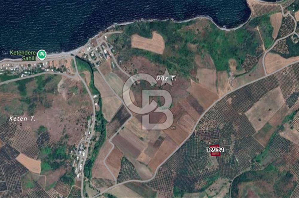 CB BLACK'TAN MUDANYA HALİLBEY'DE SATILIK TARLA
