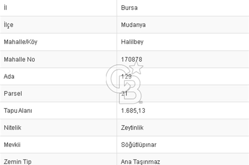 CB BLACK'TAN MUDANYA HALİLBEY'DE SATILIK TARLA