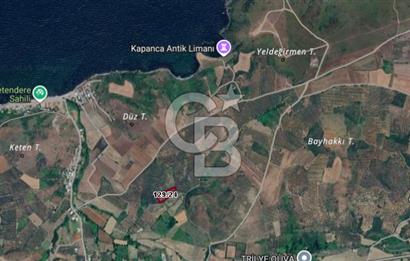 CB BLACK'TAN MUDANYA HALİLBEY'DE YATIRIMLIK FIRSAT TARLA
