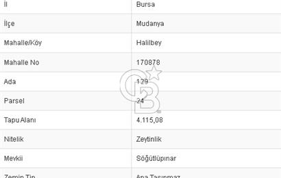 CB BLACK'TAN MUDANYA HALİLBEY'DE YATIRIMLIK FIRSAT TARLA