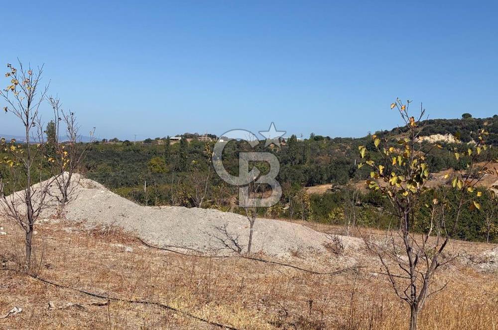 ÇANAKKALE LAPSEKİ ÇARDAK’TA FULL BOĞAZ MANZARALI SATILIK TARLA 