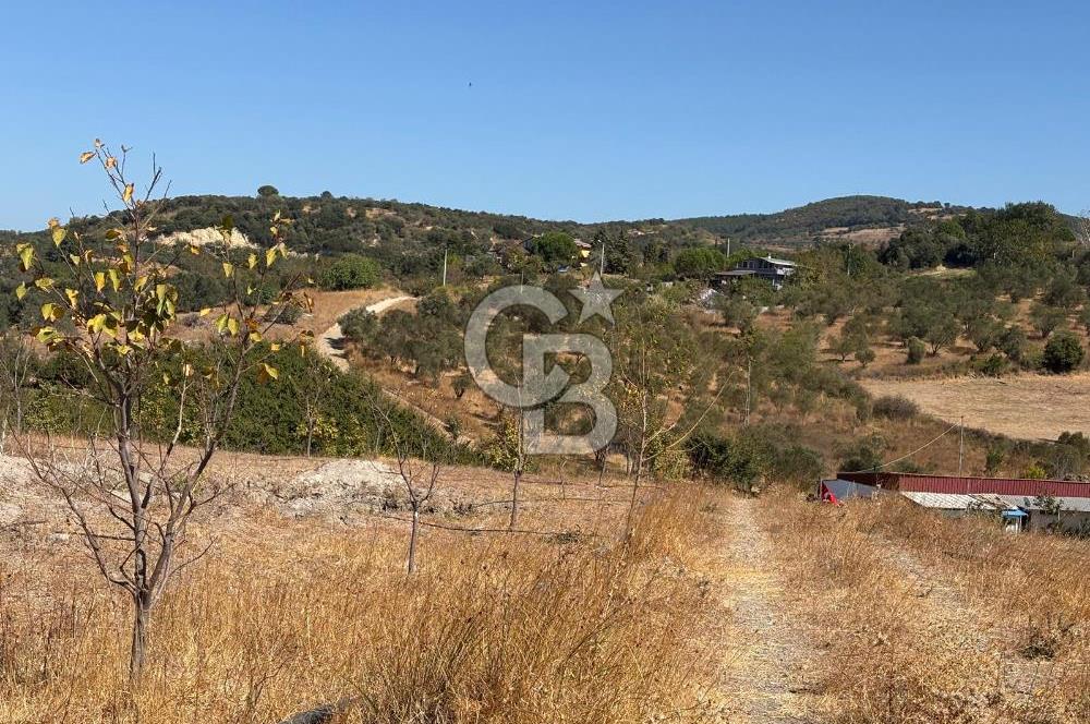 ÇANAKKALE LAPSEKİ ÇARDAK’TA FULL BOĞAZ MANZARALI SATILIK TARLA 