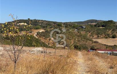 ÇANAKKALE LAPSEKİ ÇARDAK’TA FULL BOĞAZ MANZARALI SATILIK TARLA 