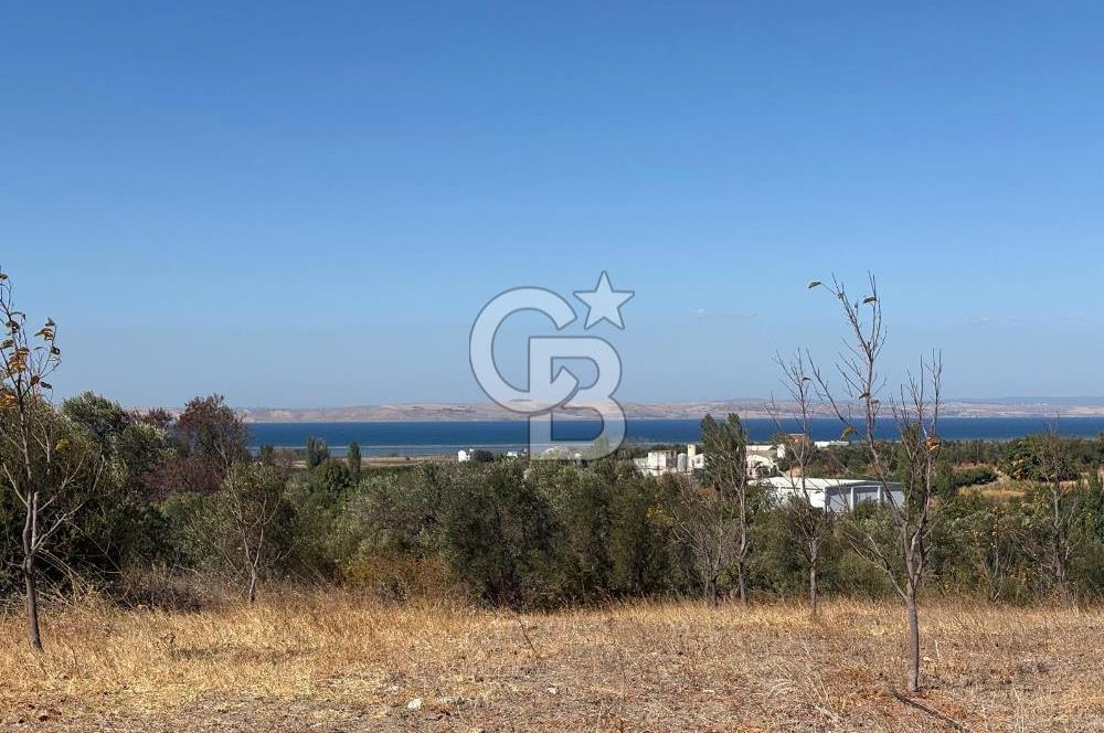 ÇANAKKALE LAPSEKİ ÇARDAK’TA FULL BOĞAZ MANZARALI SATILIK TARLA 