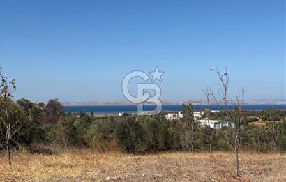 ÇANAKKALE LAPSEKİ ÇARDAK’TA FULL BOĞAZ MANZARALI SATILIK TARLA 
