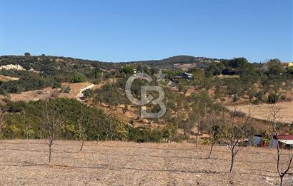 ÇANAKKALE LAPSEKİ ÇARDAK’TA FULL BOĞAZ MANZARALI SATILIK TARLA 