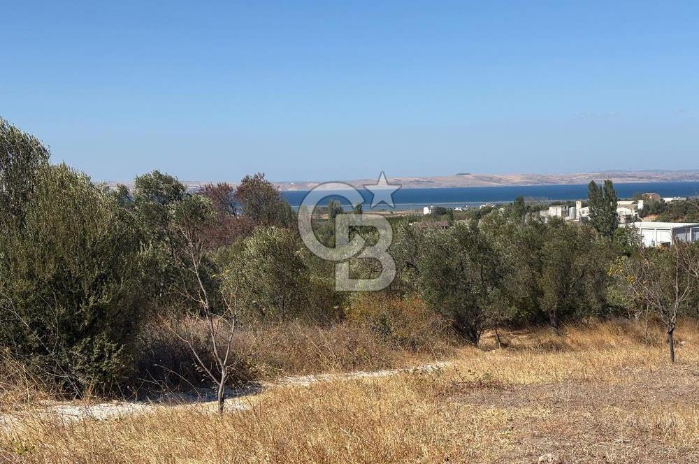 ÇANAKKALE LAPSEKİ ÇARDAK’TA FULL BOĞAZ MANZARALI SATILIK TARLA 