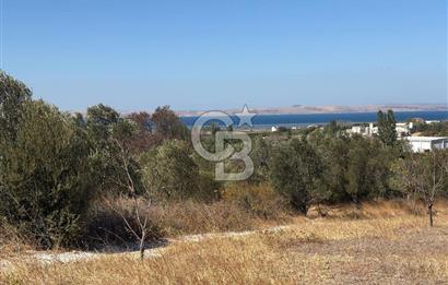 ÇANAKKALE LAPSEKİ ÇARDAK’TA FULL BOĞAZ MANZARALI SATILIK TARLA 