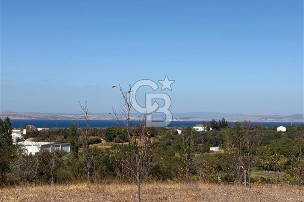 ÇANAKKALE LAPSEKİ ÇARDAK’TA FULL BOĞAZ MANZARALI SATILIK TARLA 