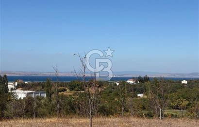 ÇANAKKALE LAPSEKİ ÇARDAK’TA FULL BOĞAZ MANZARALI SATILIK TARLA 