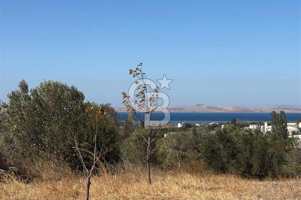 ÇANAKKALE LAPSEKİ ÇARDAK’TA FULL BOĞAZ MANZARALI SATILIK TARLA 