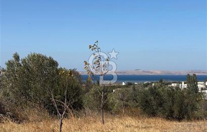 ÇANAKKALE LAPSEKİ ÇARDAK’TA FULL BOĞAZ MANZARALI SATILIK TARLA 