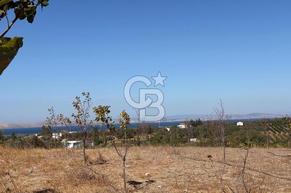 ÇANAKKALE LAPSEKİ ÇARDAK’TA FULL BOĞAZ MANZARALI SATILIK TARLA 