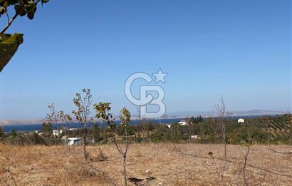ÇANAKKALE LAPSEKİ ÇARDAK’TA FULL BOĞAZ MANZARALI SATILIK TARLA 