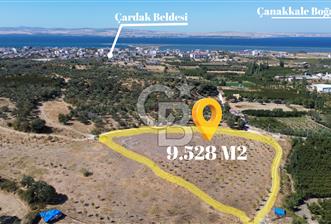 ÇANAKKALE LAPSEKİ ÇARDAK’TA FULL BOĞAZ MANZARALI SATILIK TARLA 