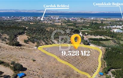 ÇANAKKALE LAPSEKİ ÇARDAK’TA FULL BOĞAZ MANZARALI SATILIK TARLA 