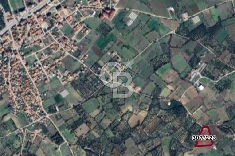 ÇANAKKALE LAPSEKİ ÇARDAK’TA FULL BOĞAZ MANZARALI SATILIK TARLA 