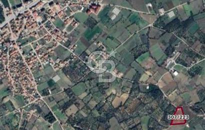 ÇANAKKALE LAPSEKİ ÇARDAK’TA FULL BOĞAZ MANZARALI SATILIK TARLA 