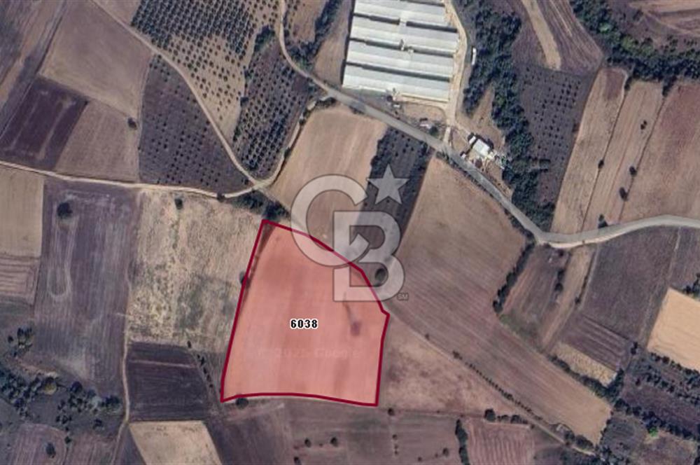 CB BLACK'TAN KARACABEY HARMANLI'DA 18.250 M2 SATILIK TARLA