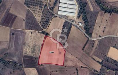 CB BLACK'TAN KARACABEY HARMANLI'DA 18.250 M2 SATILIK TARLA