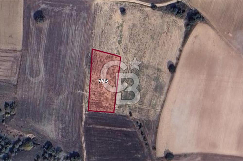 CB BLACK'TAN KARACABEY HARMANLI'DA SATILIK TARLA