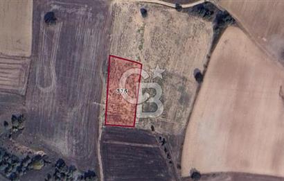 CB BLACK'TAN KARACABEY HARMANLI'DA SATILIK TARLA