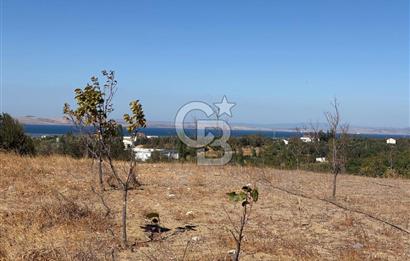 ÇANAKKALE LAPSEKİ ÇARDAK’TA FULL BOĞAZ MANZARALI SATILIK TARLA 