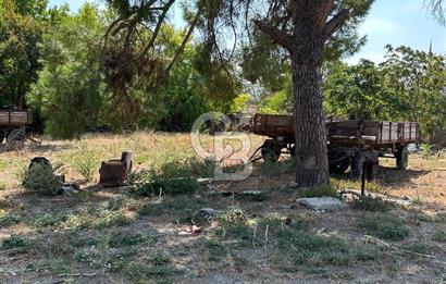 Bursa Ocaklı Mahallesinde Tek Tapu 1145 m2 İmarlı Satılık Arsa