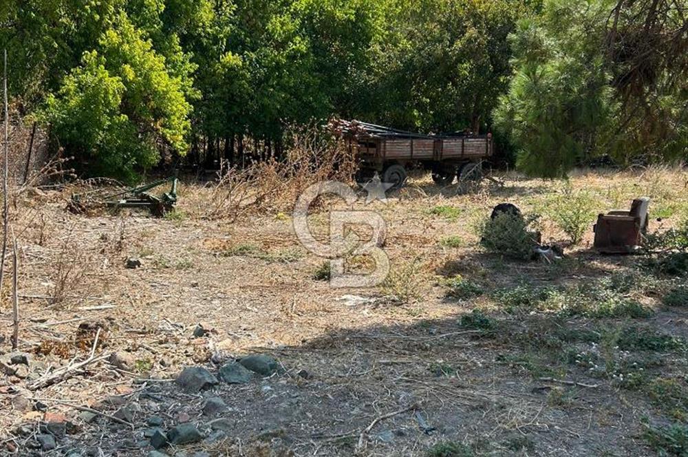 Bursa Ocaklı Mahallesinde Tek Tapu 1145 m2 İmarlı Satılık Arsa