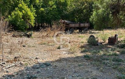 Bursa Ocaklı Mahallesinde Tek Tapu 1145 m2 İmarlı Satılık Arsa