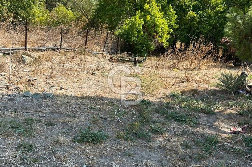 Bursa Ocaklı Mahallesinde Tek Tapu 1145 m2 İmarlı Satılık Arsa