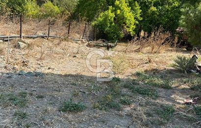 Bursa Ocaklı Mahallesinde Tek Tapu 1145 m2 İmarlı Satılık Arsa