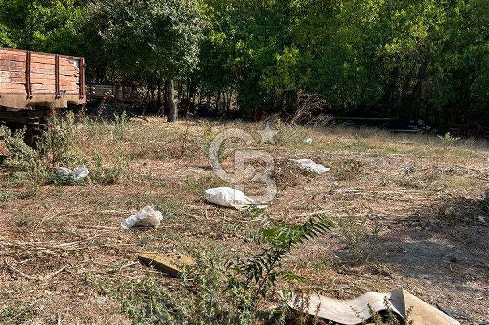 Bursa Ocaklı Mahallesinde Tek Tapu 1145 m2 İmarlı Satılık Arsa