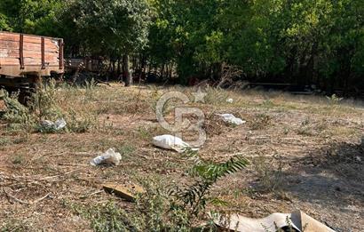 Bursa Ocaklı Mahallesinde Tek Tapu 1145 m2 İmarlı Satılık Arsa