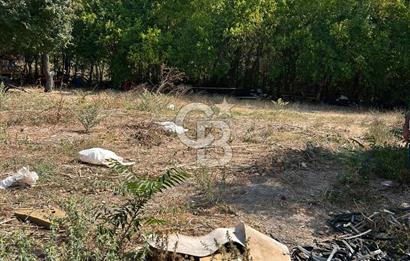 Bursa Ocaklı Mahallesinde Tek Tapu 1145 m2 İmarlı Satılık Arsa