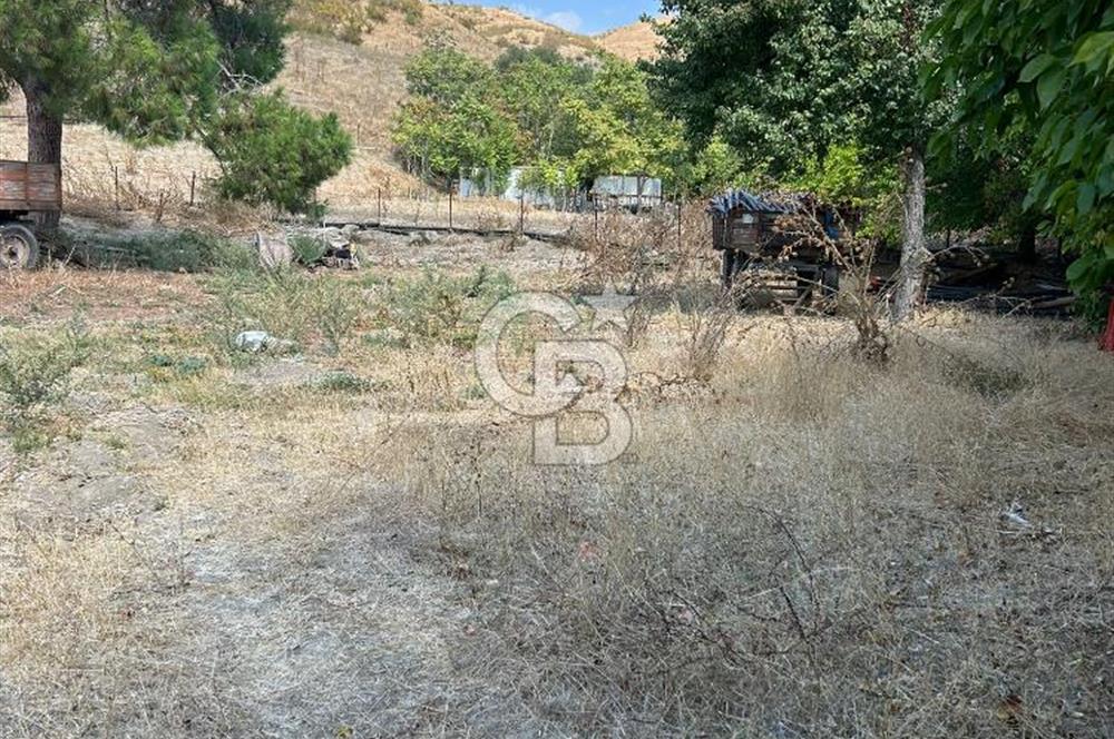 Bursa Ocaklı Mahallesinde Tek Tapu 1145 m2 İmarlı Satılık Arsa