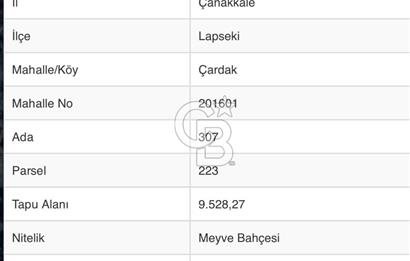 ÇANAKKALE LAPSEKİ ÇARDAK’TA FULL BOĞAZ MANZARALI SATILIK TARLA 