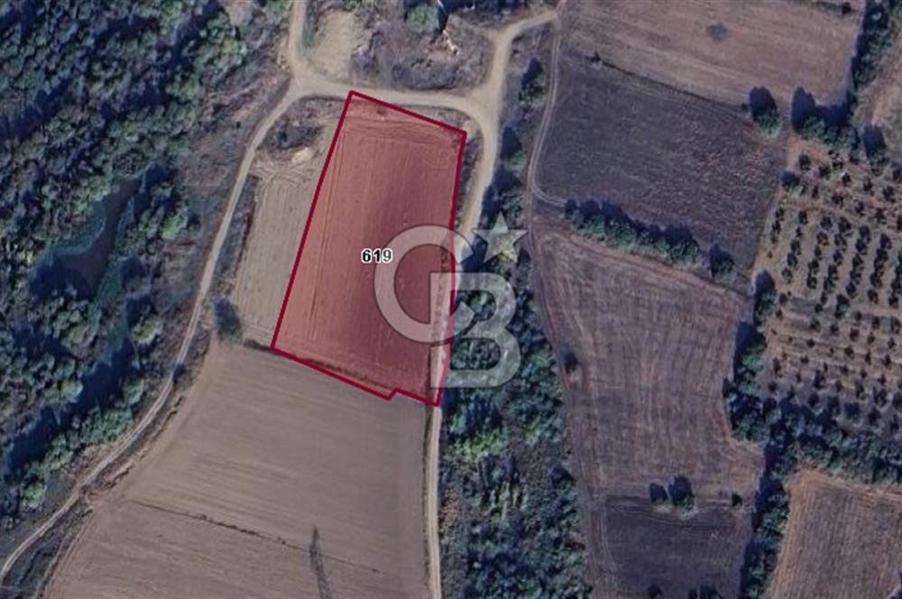 CB BLACK'TAN KARACABEY HARMANLI'DA SATILIK TARLA