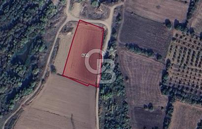 CB BLACK'TAN KARACABEY HARMANLI'DA SATILIK TARLA