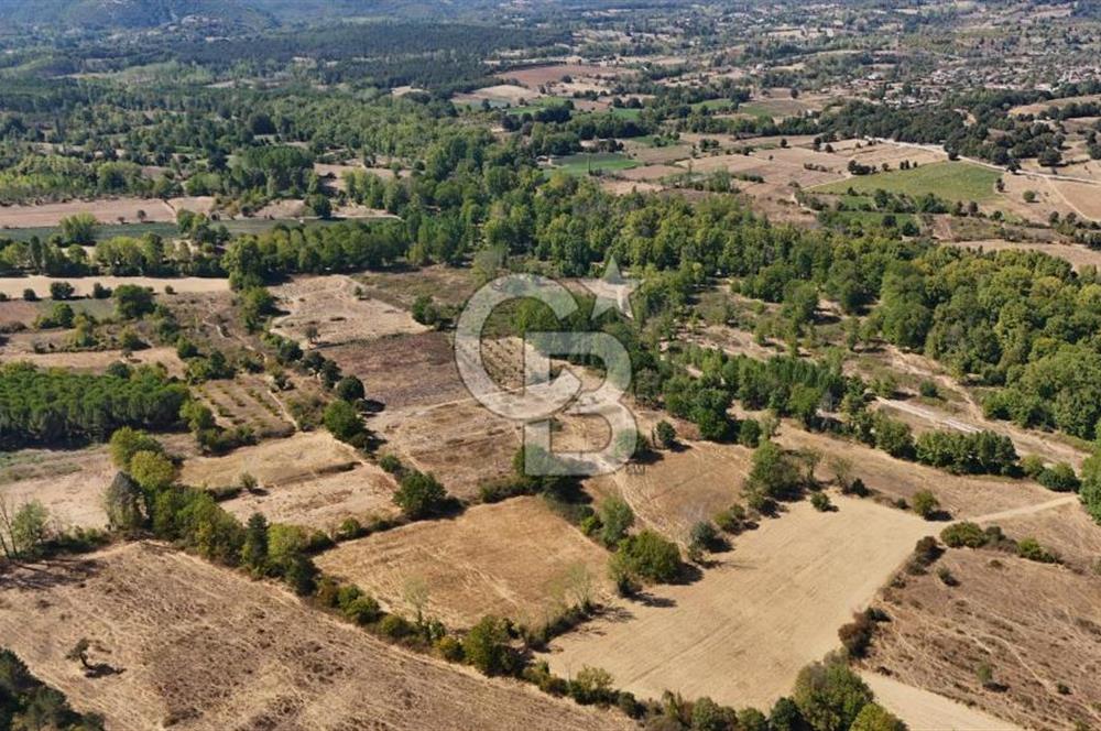 Çanakkale Yenice Örencik Köyü'nde 5096 M² Tarla !