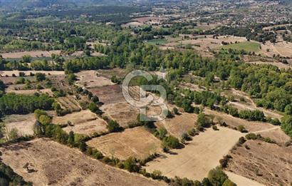 Çanakkale Yenice Örencik Köyü'nde 6318 M² Tarla !