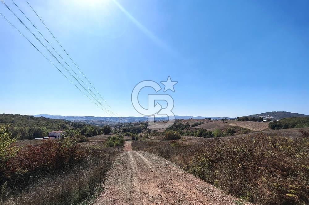 Derince Tahtalı da 4800 m2 SATILIK TARLA, Kadastral yolu var