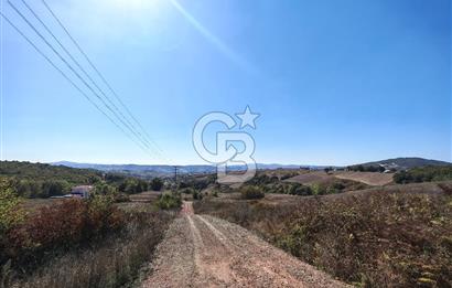Derince Tahtalı da 4800 m2 SATILIK TARLA, Kadastral yolu var