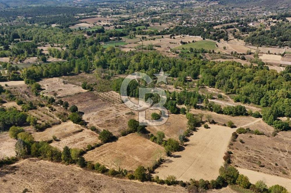 Çanakkale Yenice Örencik Köyü'nde 6318 M² Tarla !