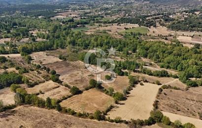 Çanakkale Yenice Örencik Köyü'nde 6318 M² Tarla !