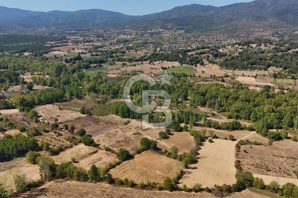 Çanakkale Yenice Örencik Köyü'nde 6318 M² Tarla !