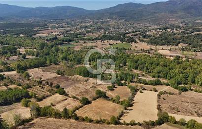 Çanakkale Yenice Örencik Köyü'nde 5096 M² Tarla !