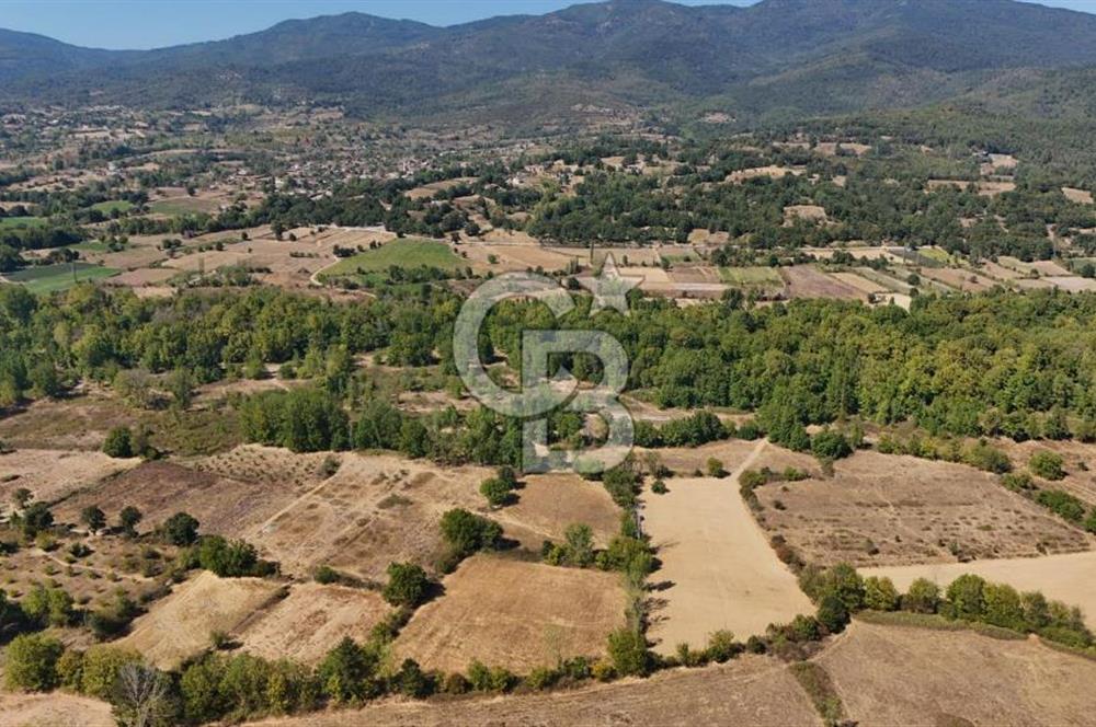 Çanakkale Yenice Örencik Köyü'nde 6318 M² Tarla !