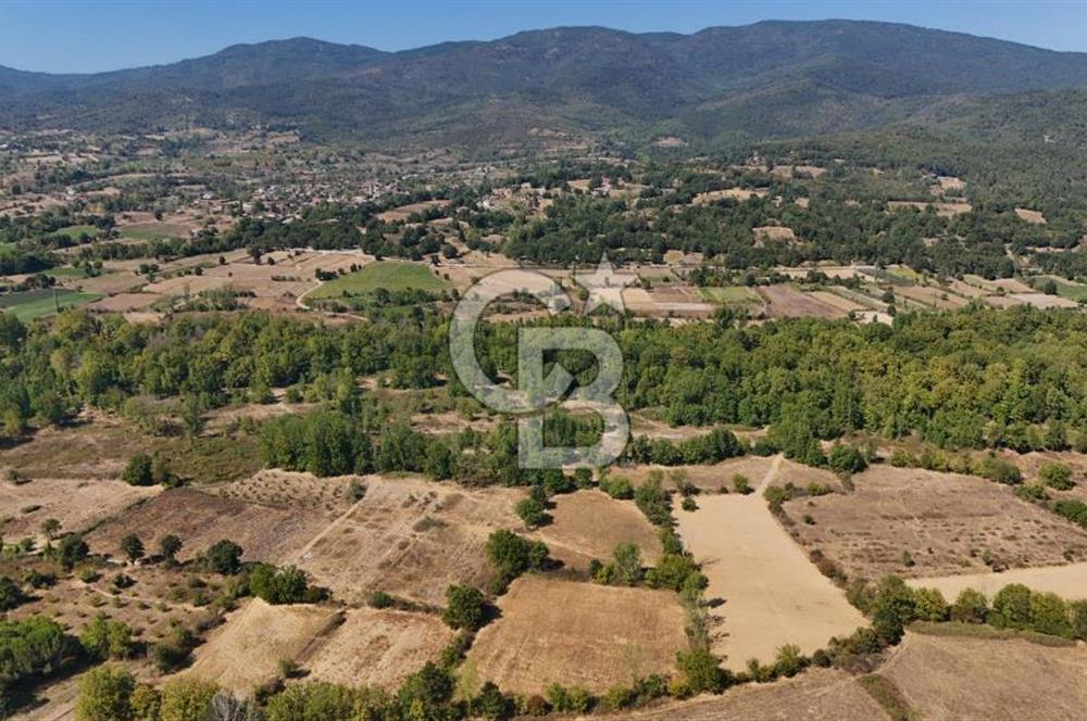 Çanakkale Yenice Örencik Köyü'nde 6318 M² Tarla !