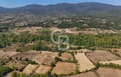 Çanakkale Yenice Örencik Köyü'nde 6318 M² Tarla !